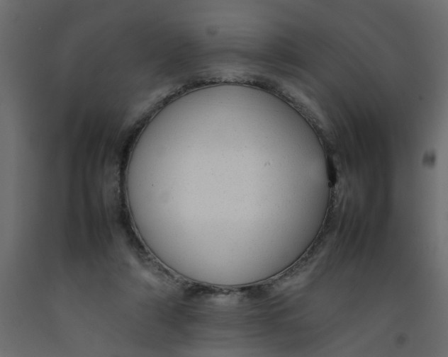 X0000092100306200710101127