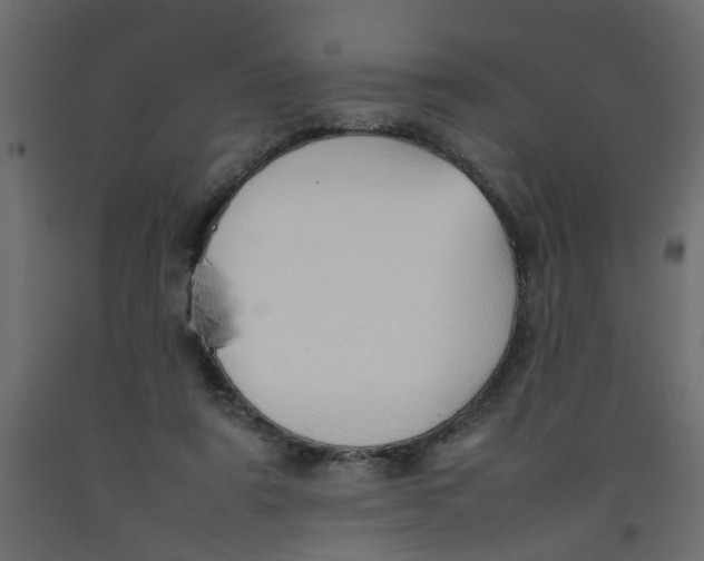 X0000092100307200710101127