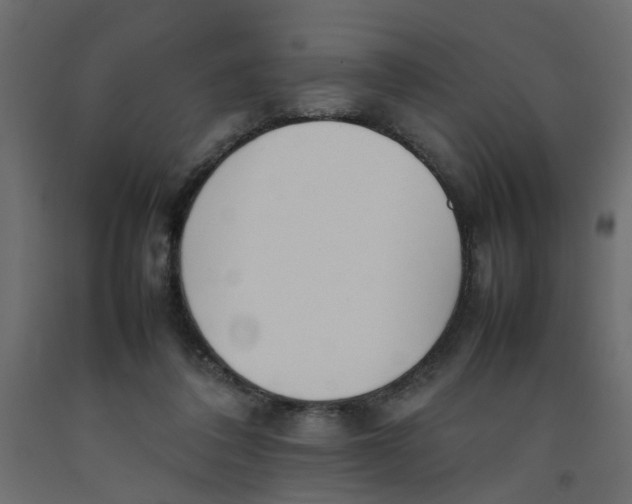 X0000092100308200710101127