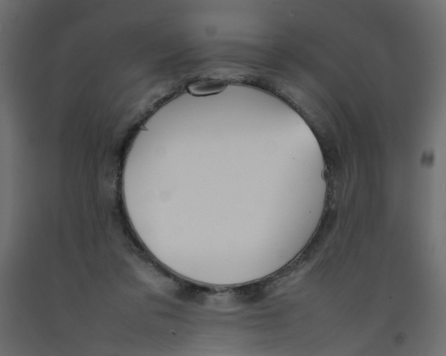 X0000092100309200710101127