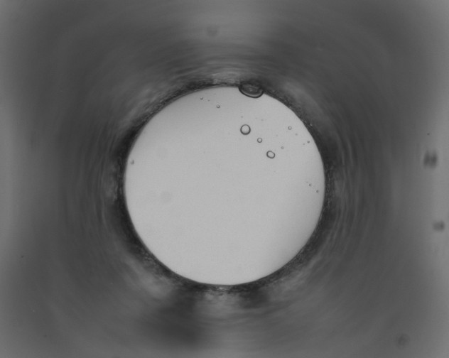 X0000092100311200710101127