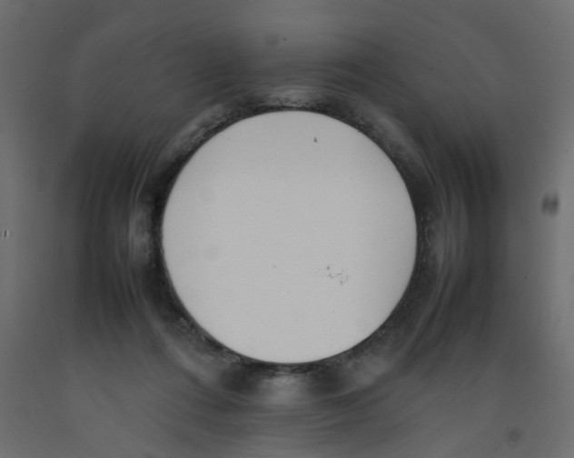 X0000092100312200710101127