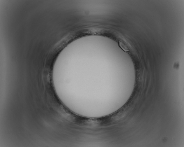 X0000092100313200710101127