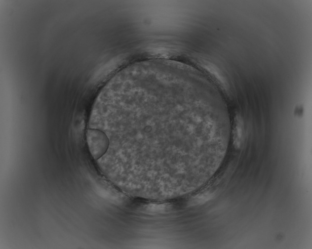 X0000092100314200710101127