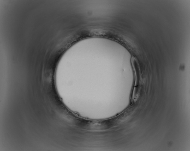 X0000092100315200710101127