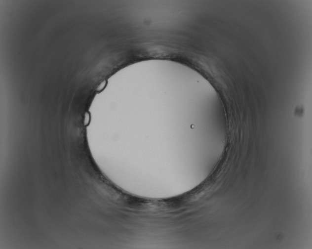 X0000092100317200710101127