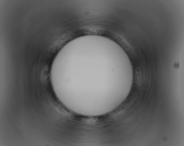 X0000092100318200710101127