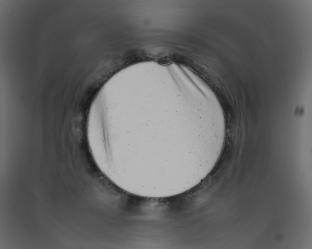 X0000092100319200710101127