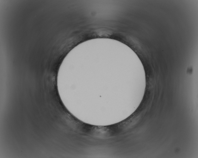 X0000092100321200710101127