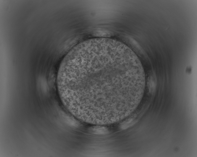 X0000092100322200710101127