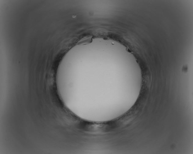 X0000092100323200710101127