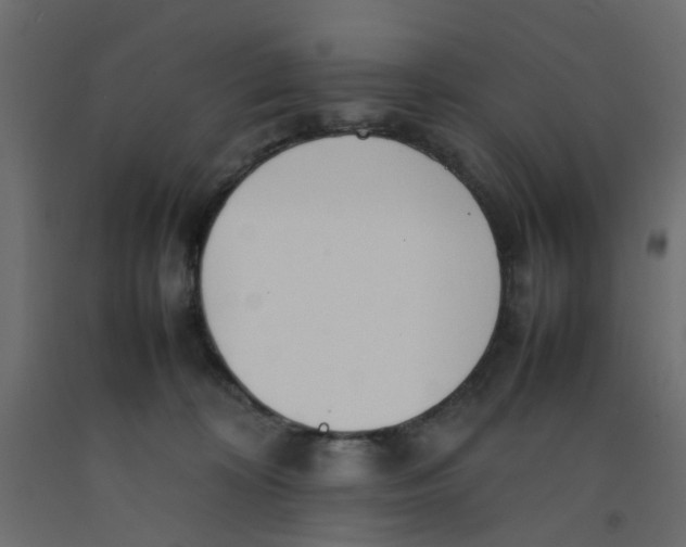 X0000092100324200710101127