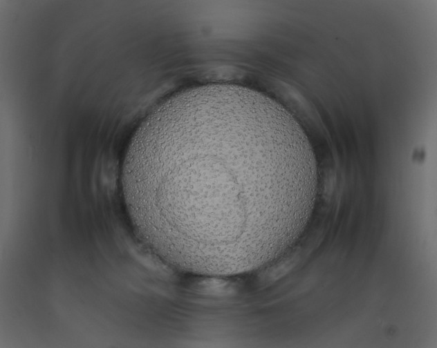 X0000092100326200710101127