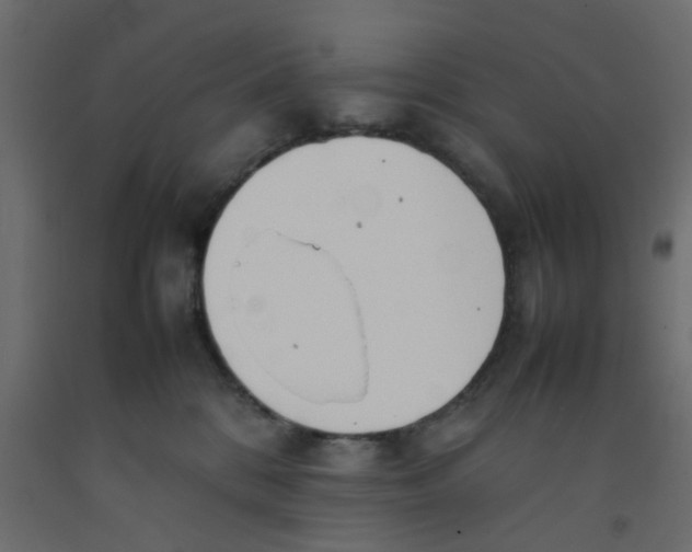 X0000092100328200710101127