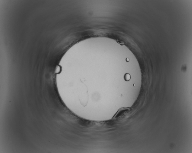 X0000092100329200710101127