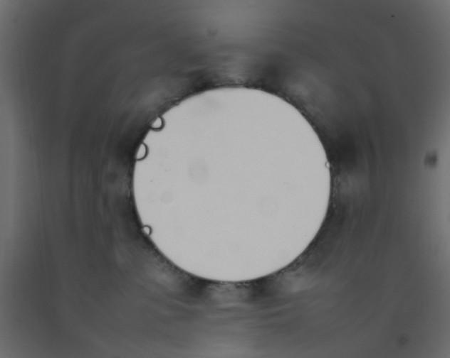 X0000092100331200710101127