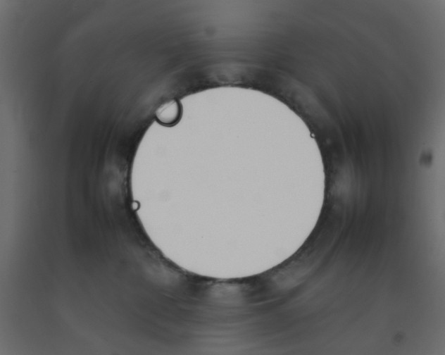 X0000092100332200710101127