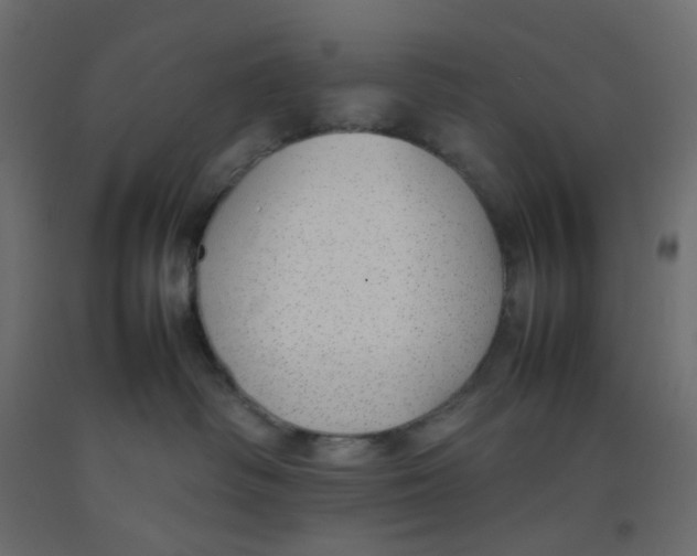 X0000092100334200710101127