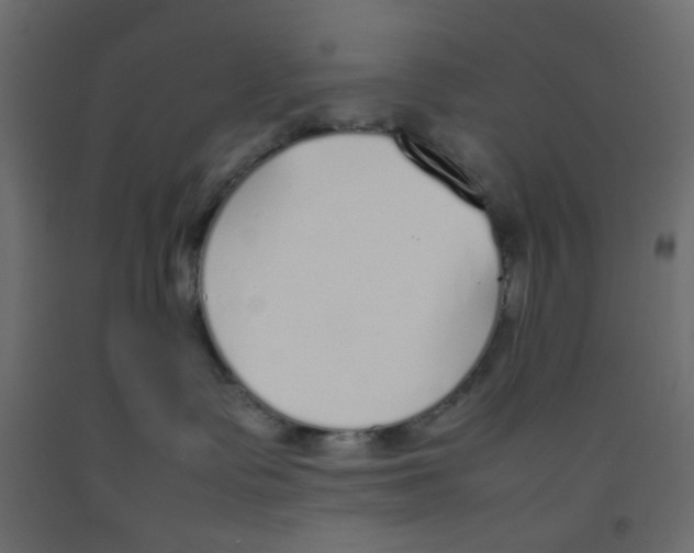 X0000092100335200710101127