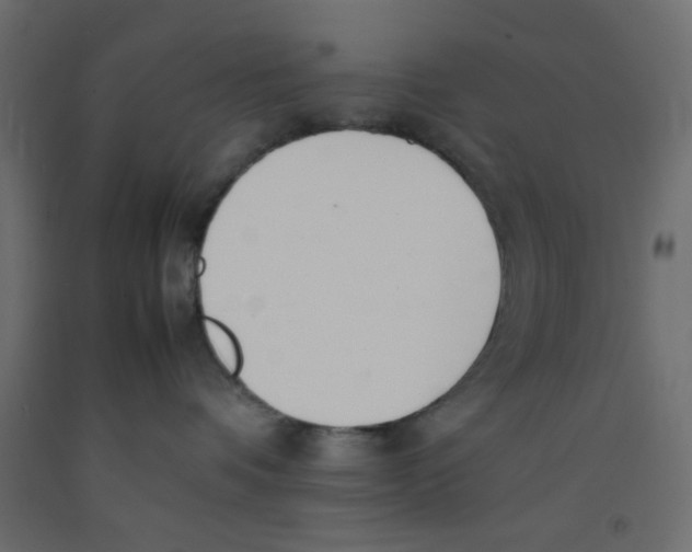 X0000092100336200710101127