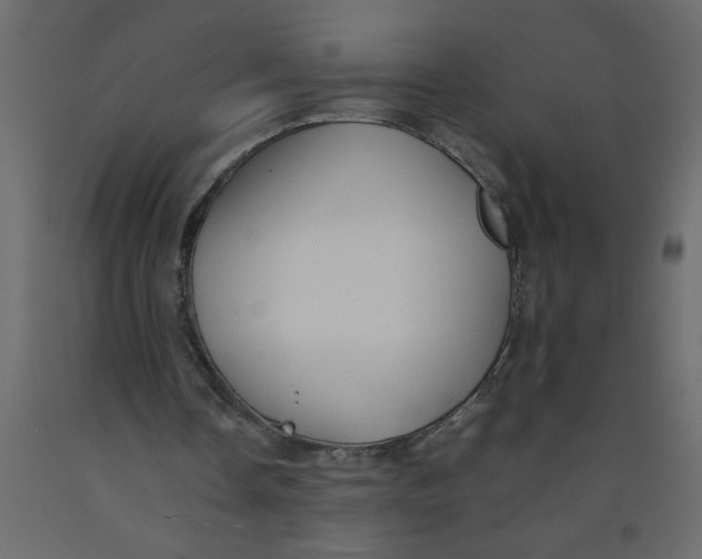 X0000092100338200710101126