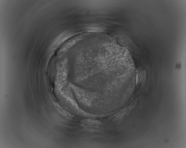 X0000092100339200710101126