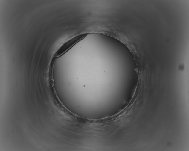 X0000092100340200710101126