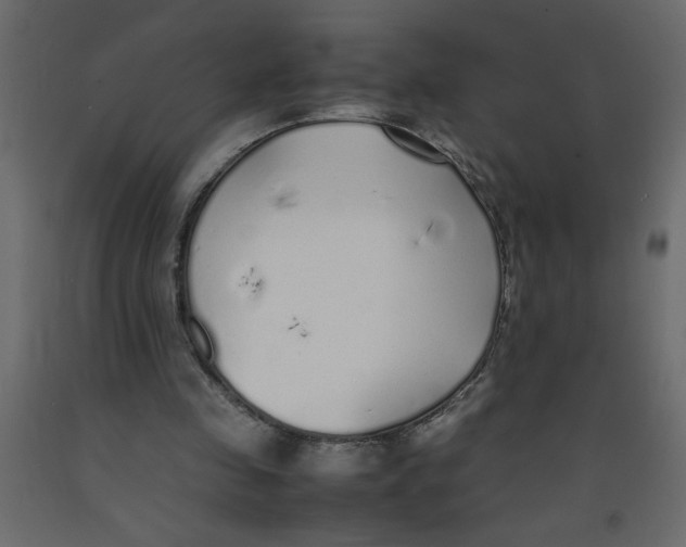 X0000092100341200710101126