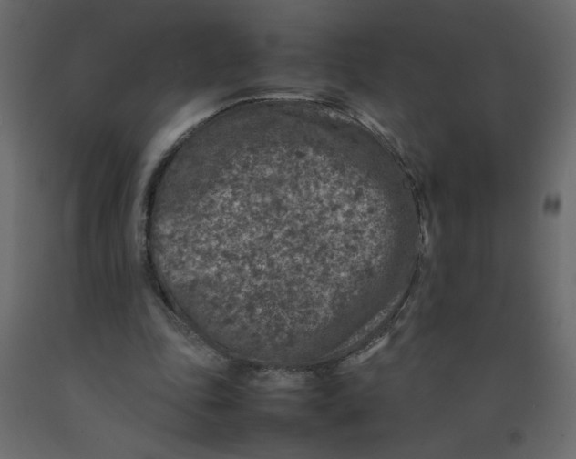 X0000092100343200710101126