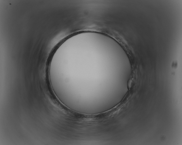 X0000092100344200710101126