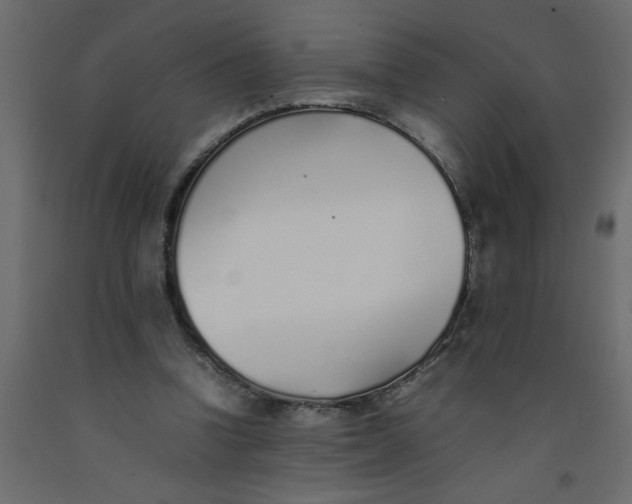 X0000092100346200710101126