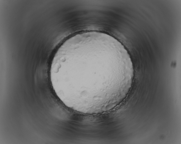 X0000092100347200710101126