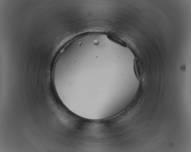 X0000092100348200710101126