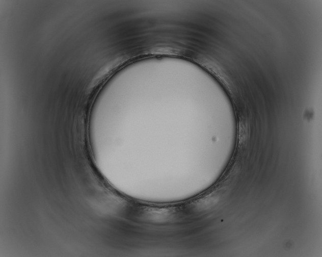 X0000092100349200710101126