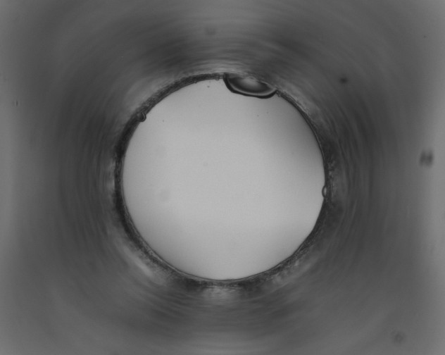 X0000092100350200710101126