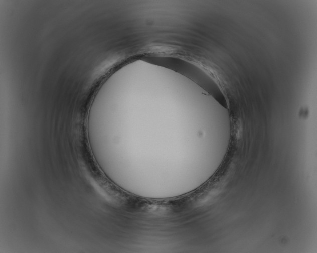 X0000092100352200710101126