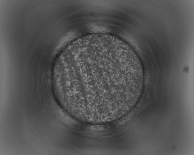 X0000092100353200710101126