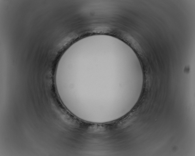 X0000092100354200710101126