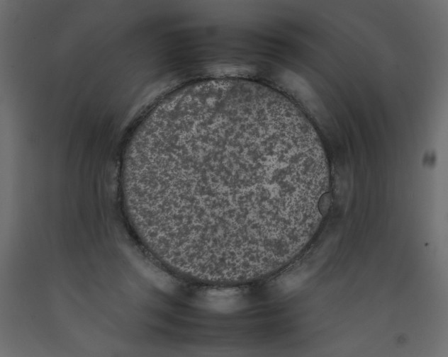 X0000092100357200710101126