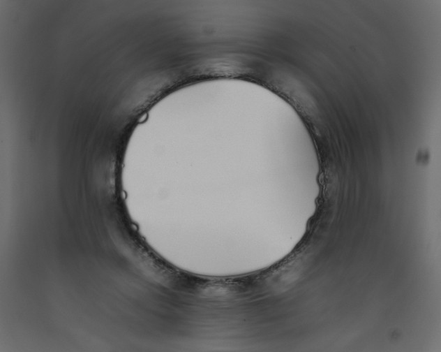 X0000092100358200710101127