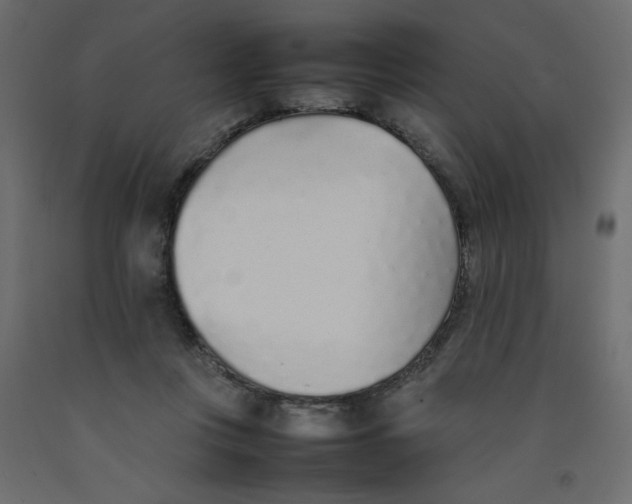 X0000092100359200710101127