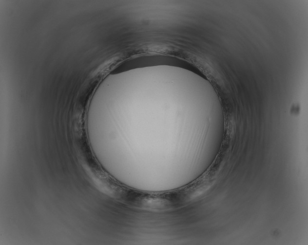 X0000092100360200710101127