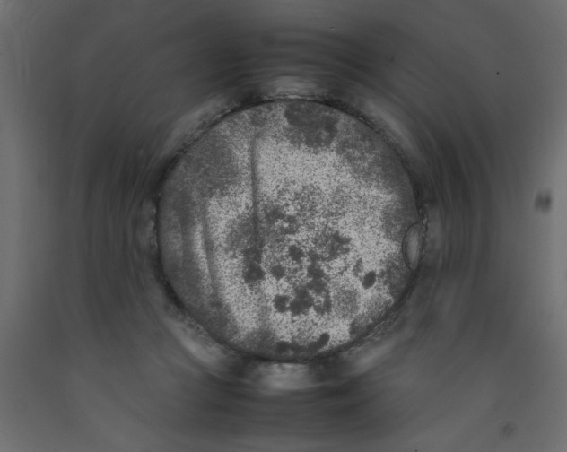 X0000092100361200710101127