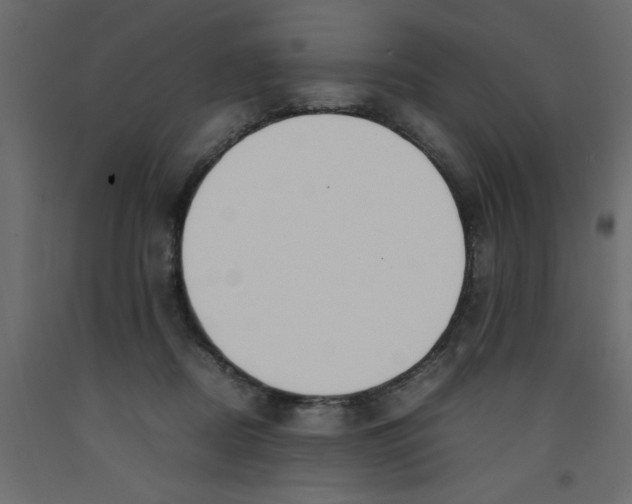 X0000092100362200710101127