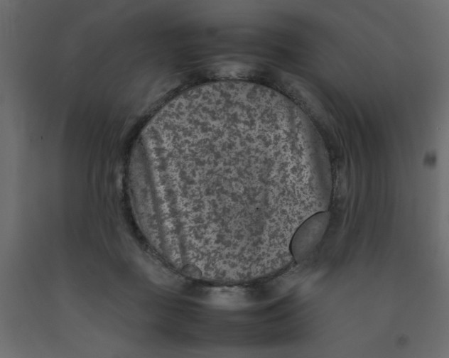 X0000092100363200710101127