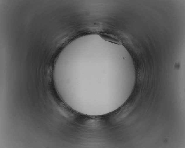 X0000092100364200710101127