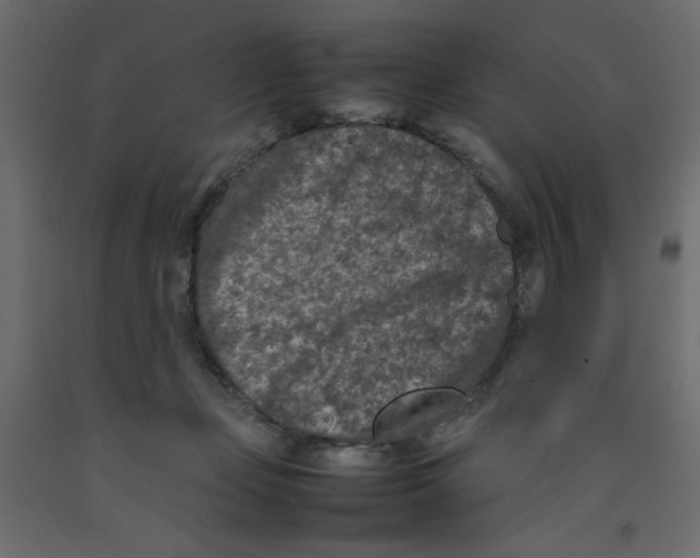 X0000092100365200710101127