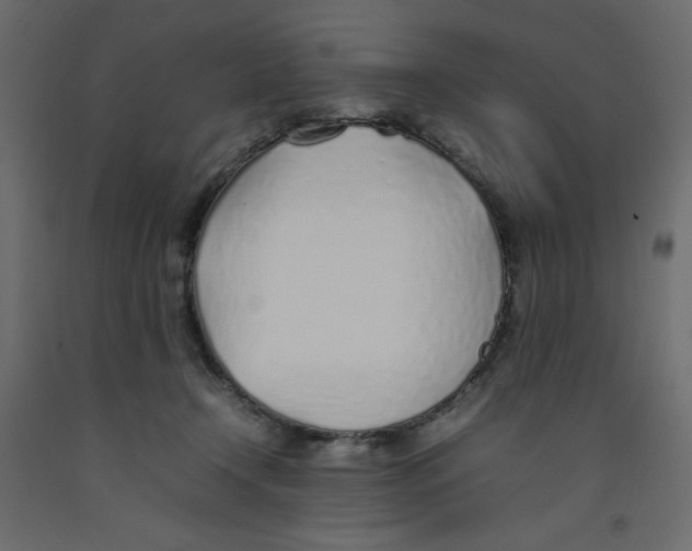 X0000092100366200710101127