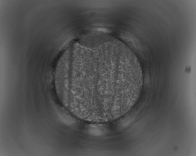 X0000092100367200710101127