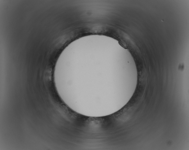 X0000092100368200710101127